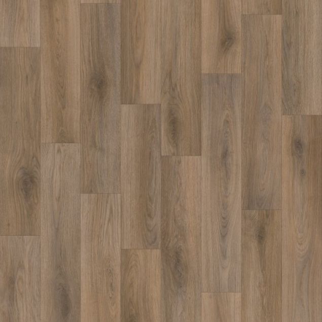 Tamar Coffee Oak